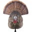 Avian X Lcd Strutter Decoy -