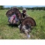 Montana Decoy Turkey Wiley - Tom