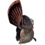 Flextone Thunder Creeper - Strutter Decoy W- Folding Fan