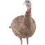 Avian X Lcd Lookout Hen Decoy -