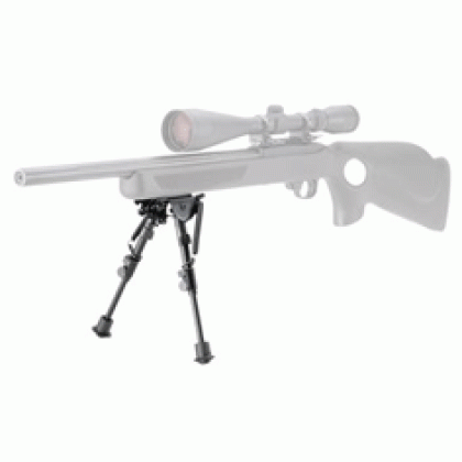 CHAMPION ROCK MOUNTAIN BI-POD