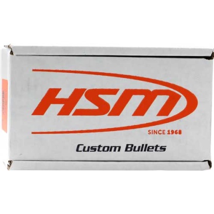 HSM BULLETS .32CAL .313