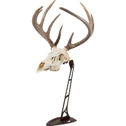 ALLEN EZ MOUNT CENTERPIECE