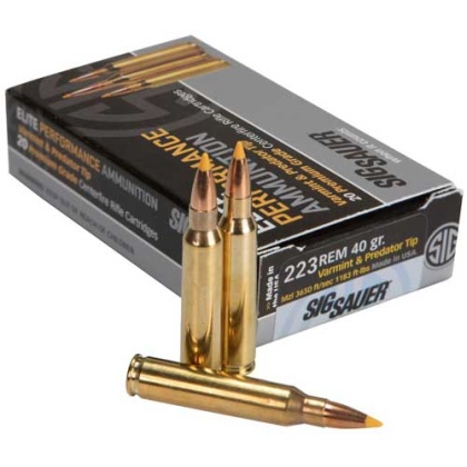 SIG 223 REM 40GR