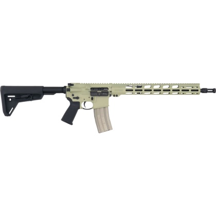 RUGER AR556 MPR 300 AAC BRAVO
