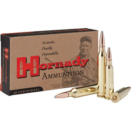 HORNADY 250 SAVAGE 100GR