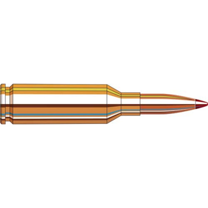 HORNADY MATCH VARMINT 22 ARC