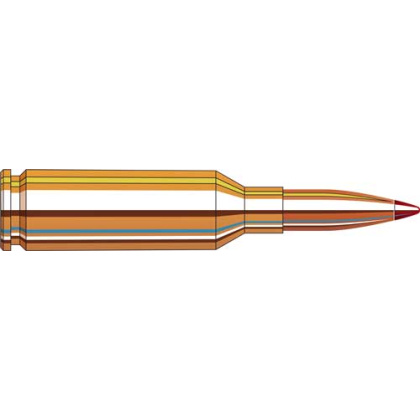 HORNADY V-MATCH 22 ARC
