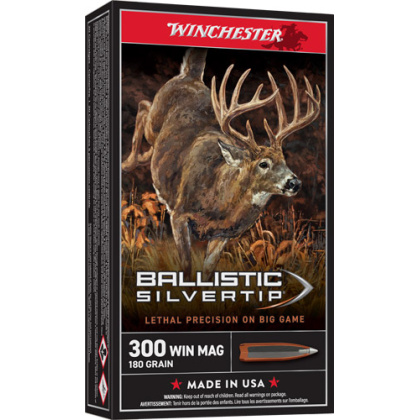 WINCHESTER SUPREME 300 WIN MAG
