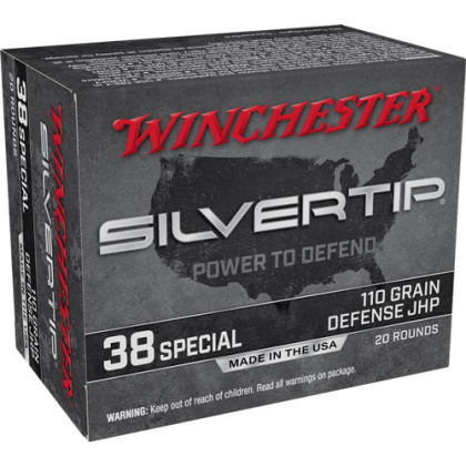 WINCHESTER SILVERTIP 38