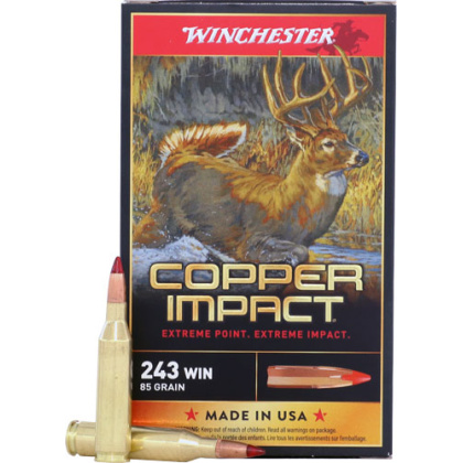 WINCHESTER COPPER IMPACT 243